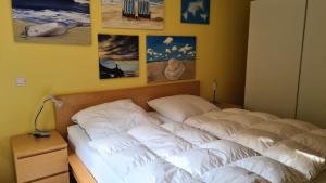 PEMATRA FeWo Mollenhauer