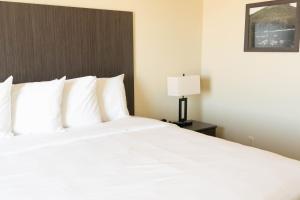 Iron Creek Inn & Suites