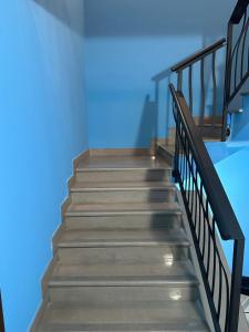 AFFITTACAMERE MAMELI