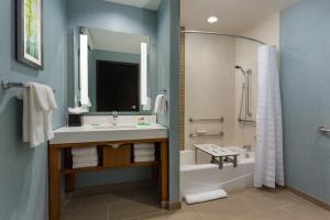 Accessible King/Tub with Sofa Bed room in Hyatt Place Chicago/Downtown - The Loop