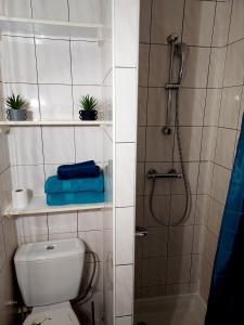 Appartements Studio B aux pieds des Thermes : photos des chambres