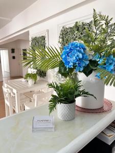 Pasithea Holiday Apartments