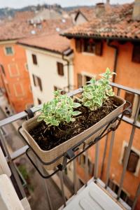 Vista Apartments Verona