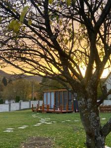 Valea Regilor Happy Camp