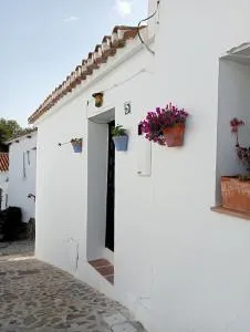 Jardin de Mucho - Iznate