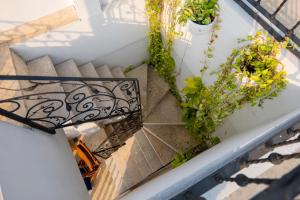 Casa Familiar - Maria de las Palmas -Getsemani