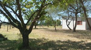 Cabañas Omelen Antü 1