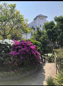 Elizabeth Bay Marina Apartment