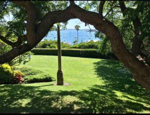 Elizabeth Bay Marina Apartment