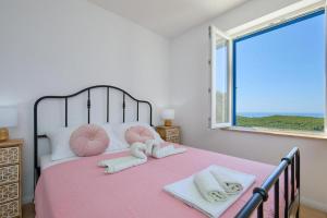 Family friendly house with a swimming pool Babino Polje, Mljet - 22326