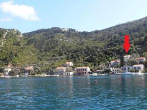 Apartments by the sea Prozurska Luka, Mljet - 22337