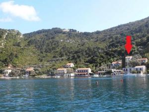 Apartments by the sea Prozurska Luka, Mljet - 22337 