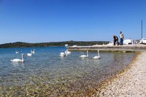 Apartments by the sea Pirovac, Sibenik - 22728