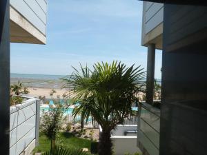 Appartement luxe avec piscine, animaux admis, climatisation et parking à La Tranche-sur-Mer - FR-1-194-227