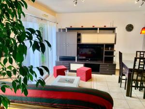 Maisons de vacances Maison Capbreton, 3 pieces, 4 personnes - FR-1-239-1023 : photos des chambres