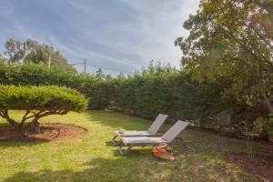 Villas Villa Albizzia with terrace and garden 68 people : photos des chambres