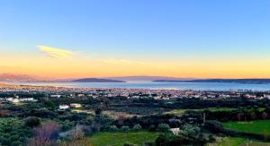 Villa Bepina, surrounded by sea, olive, vineyard