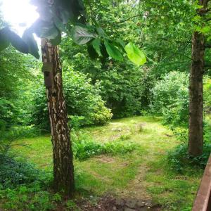 Cottage in the picturesque Beskid Maly Mountains