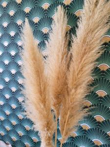 Hotels Hotel de la Mer : photos des chambres