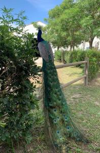 Maisons de vacances Mas de Cerier : photos des chambres