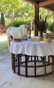 Maisons de vacances Mas de Cerier : photos des chambres