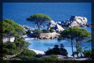 Maison à 5min à pied du centre ville de porto -vecchio