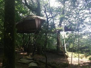 Lodges Les hebergements insolites de Quenecan : photos des chambres