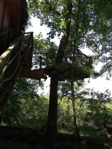 Lodges Les hebergements insolites de Quenecan : photos des chambres
