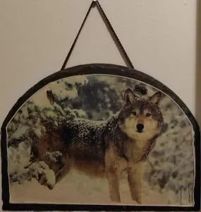 Talo Kainuun korvessa Kiekinkoskella - 库赫莫