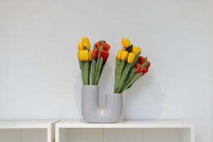 15 minuti dal centro Bovisa