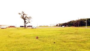 Saint Michaels Sandcastles