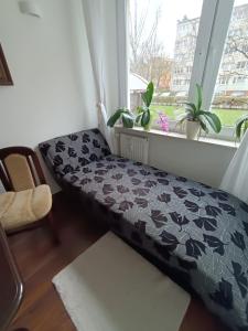 Apartament Margaret - wino gratis!