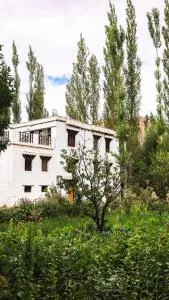 Shel Heritage Home - Ranbirpura