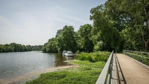 Camping du Lion d'Angers