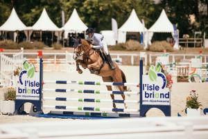 Campings Camping du Lion d-Angers : photos des chambres
