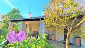 Villa Ana - Krkavče