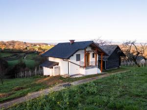 Vineyard cottage Majolka