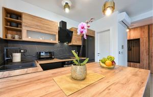 Gorgeous Home In Trnovec With Wifi