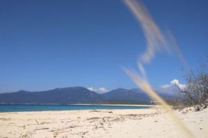 Villa T4 à Campomoro corse du sud, 800m plage