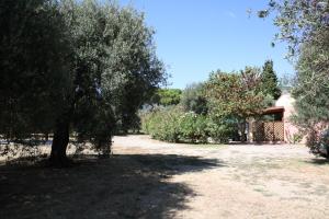 Casa L' Antico Ulivo img26