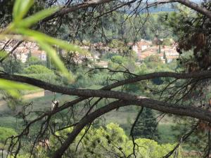 Maisons de vacances LOVE ROOM VAR SIANDAKI : photos des chambres