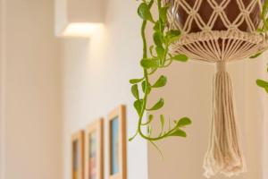 Uniek 4p. appartement 75 meter van het strand in Javea