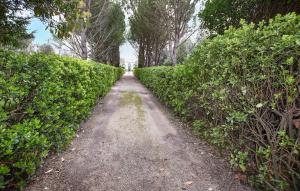 Maisons de vacances Amazing Home In Entraigues-sur-la-sorg With Private Swimming Pool, Can Be Inside Or Outside : photos des chambres