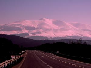 Apartamentos La Dama Azul