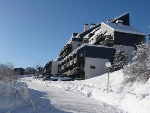 Appartements Appart Duplex 8 pers avec Terrasse a Pra-Loup - FR-1-165A-170 : Appartement