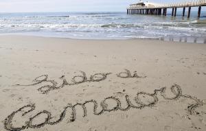 Cozy Home In Metato With Kitchen