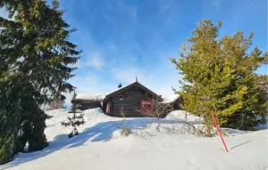 Nice Home In Treungen With Jacuzzi - Kyrkjebygdi