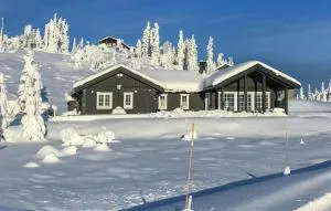 Stunning Home In Eggedal With Wifi - 弗洛