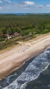 Herzmuschel - 于克里茨