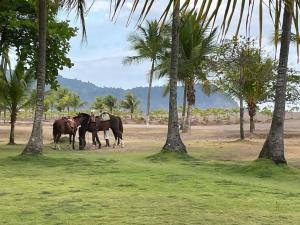 Rooftop balcony oceanfront PH condo with King beds